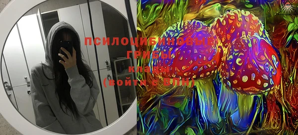 apvp Алексеевка