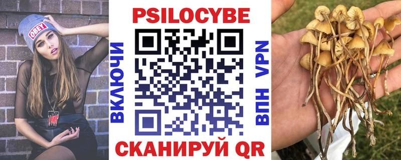 Галлюциногенные грибы Psilocybe купить цена это наркотические препараты Арсеньев